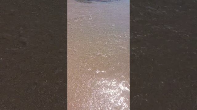 1000115975.mp4