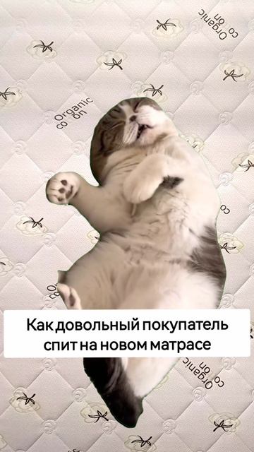 Довольный покупатель