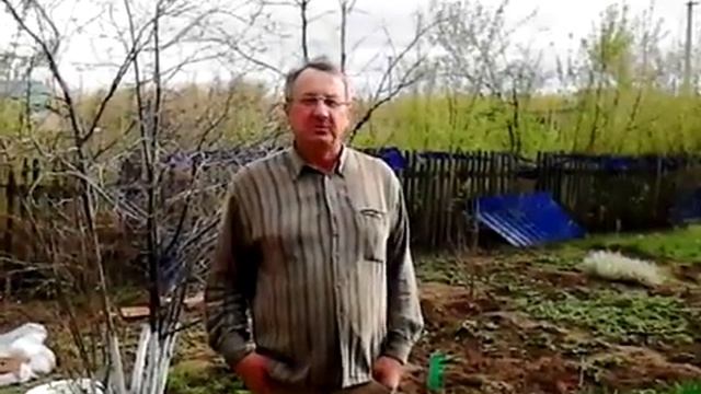Выплаты в МММ