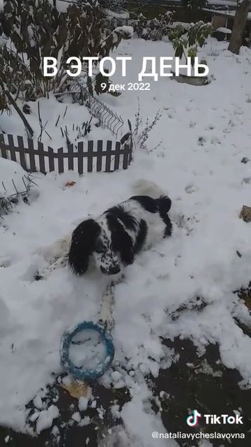 Лепота!...)))