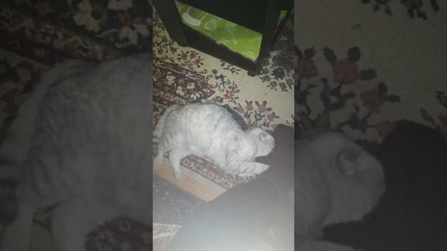 Любовь - это...