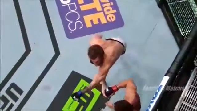 Floyd Mayweather  Conor McGregor    2016 HD
