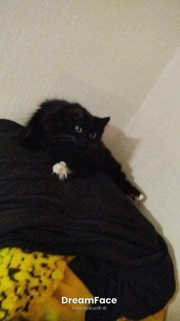 Умора