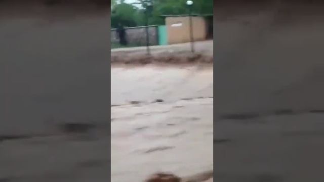 Ленгер қаласы су тасқыны