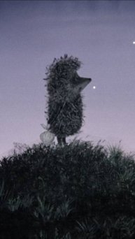 Jack Kaos - Ёжик в тумане