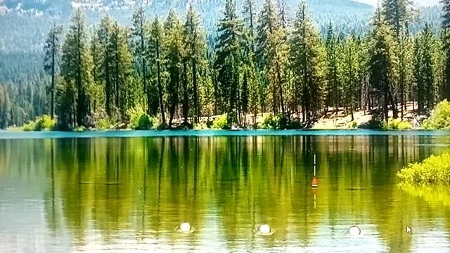 1000130042.mp4