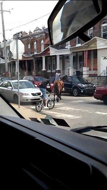 Kid riding a stolen horse in the ghetto