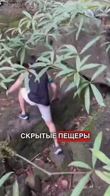 🏞️ Я В ПОЛНОМ ВОСТОРГЕ ОТ ПАРКА КАО ЯЙ! | #shorts