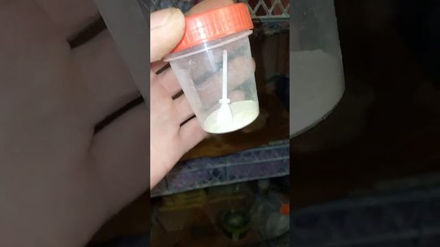 Советы от Сергея по уходу за голубями.