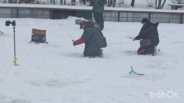 Первые уловы