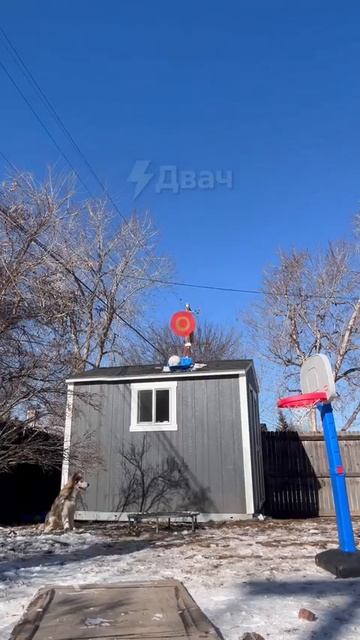 Эпичное видео с неожиданным финалом