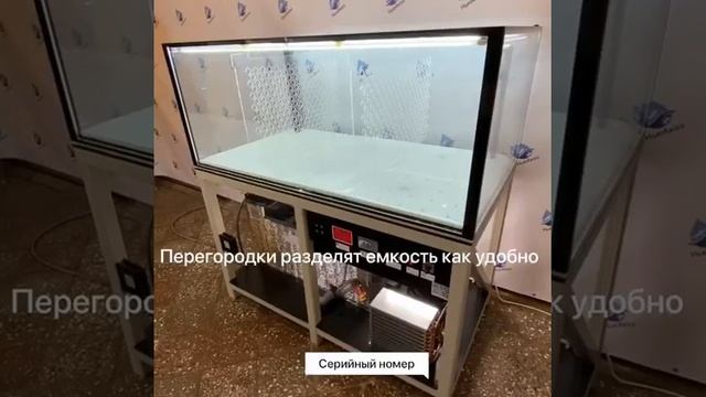 Морской аквариум на заказ