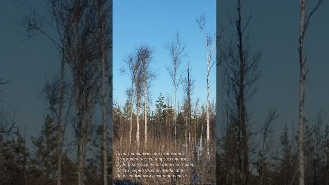 20.02.25 АЗ #ниднябезрифмы