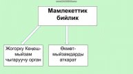 ЖББГИ №1. 6-класс. Адам жана коом.