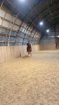 Алексей и Каспер. Галоп. #horse #equestrian #лошади #pony