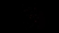 YouCut_20250219_114340192.mp4