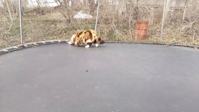 1000012974.mp4