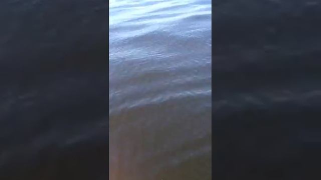 свадьба на волге