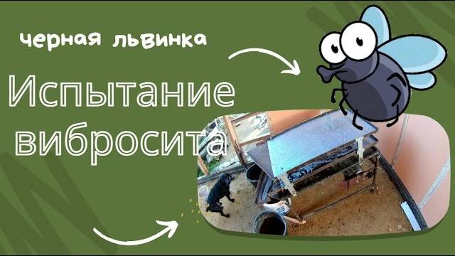 Вибросито для личинки львинки. Испытание.