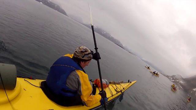 Back to the Wild: Kayaking in Greenland