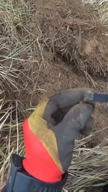 Пуговка. Скоро полное видео, НЕ ПРОПУСТИТЕ!  #коп  #поисксметаллоискателем #metaldetector #клад