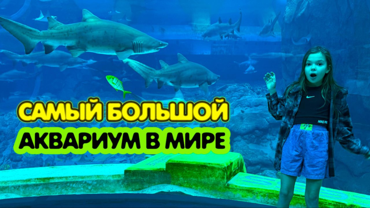 СЕМЕЙНОЕ ПРИКЛЮЧЕНИЕ В АБУ-ДАБИ! САМЫЙ БОЛЬШОЙ ОКЕАНАРИУМ В МИРЕ, ПИНГВИНЫ И АКУЛЫ В РЕАЛЬНОЙ ЖИЗНИ