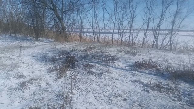 VID_20250220_101042