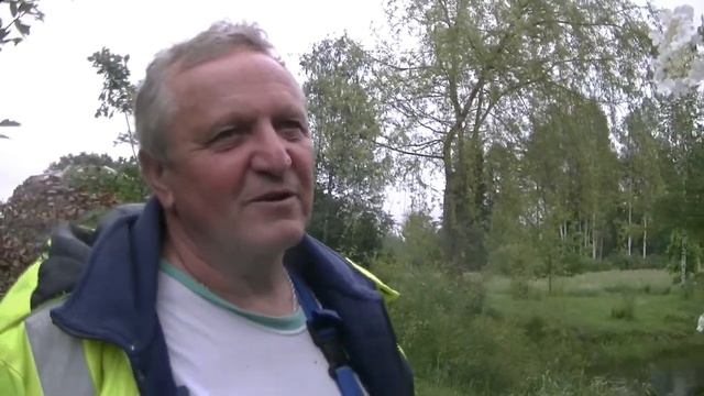 Один выходной.Дождь.Цветут люпины.