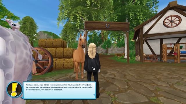 Магия Джорвика: секреты древних ритуалов | Equestrian Journey