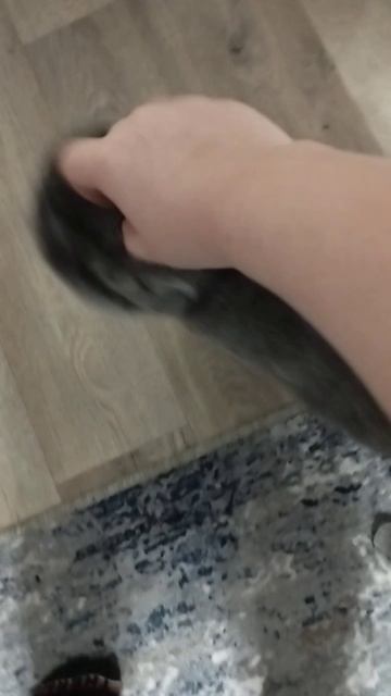 1 шортс