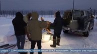 19.02.2025 Более 2,2 тысяч особей гребешка изъяли сахалинские пограничники