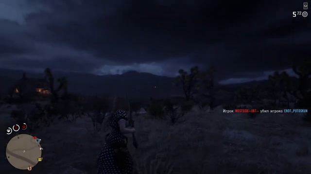 Red Dead Redemption 2_20210603011150