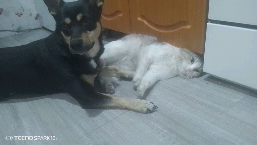 матушка Земля