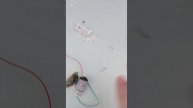 нашел медь