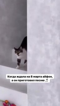 Когда ждала ай-фон на 8 марта....