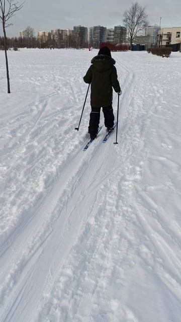 лыжник ⛷️