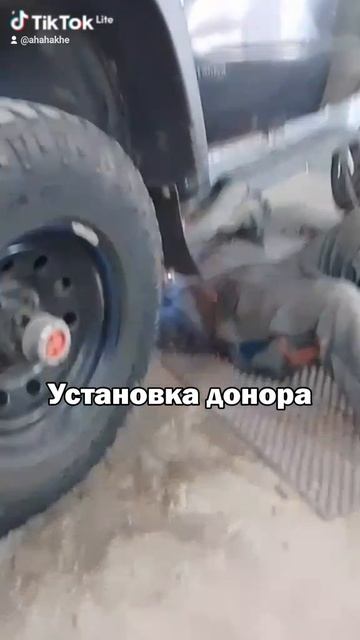 Трансплантация порога