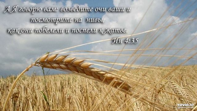 Я склоняюсь пред величием Твоим