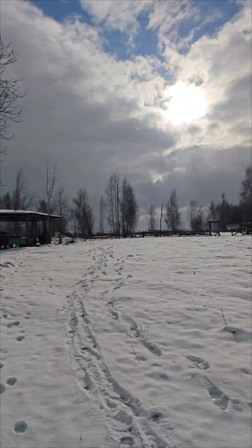 Хотылёво зимой: магия снега и истории ❄️