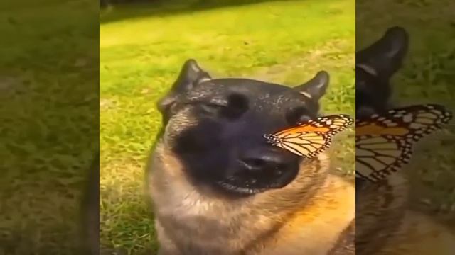 VID_20230729_021421_451