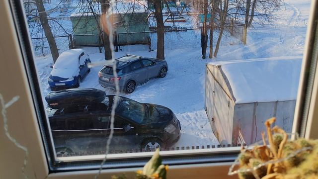 купили цветок каланхоэ в Ленте и посадили с ребенком траву из набора для выращивания растения