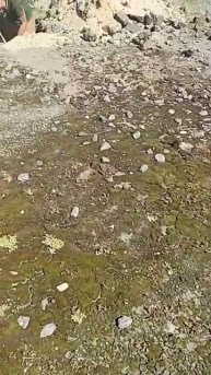 1000007436.mp4