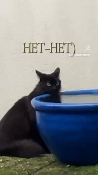 Делай ЭТО, чтобы был четкий овал лица