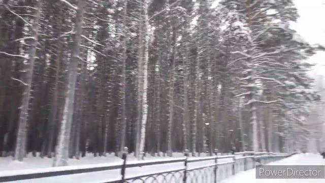 Днем в парке горит свет!Идёт снег!