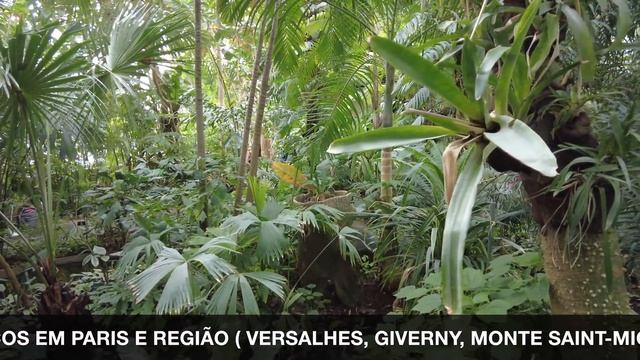 AS ESTUFAS DO JARDIM DAS PLANTAS EM PARIS