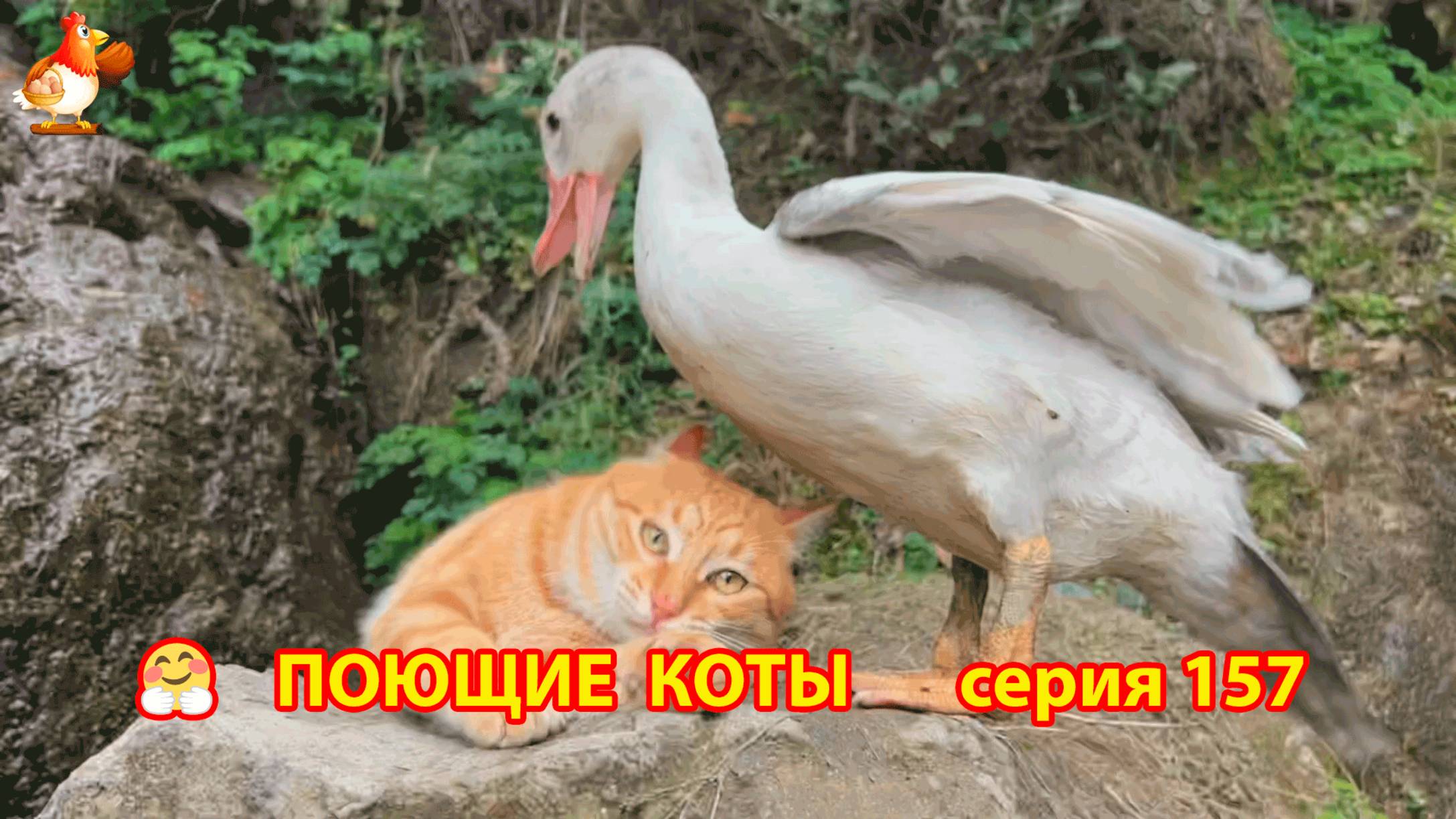 Крутые коты у птичьего двора серия (157) 🐈🐈😹 Природа Абхазии и подворье с птицами и животными ❣
