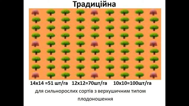 №18 Твій горіх Юкал І І для студентів Євангельської  Семінарії