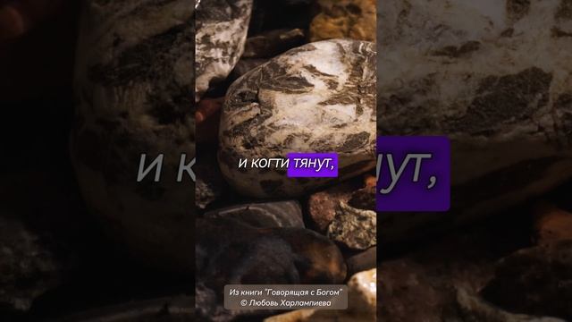 “О совести и гордыне”