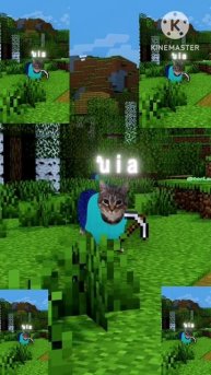 Котики в майнкрафте