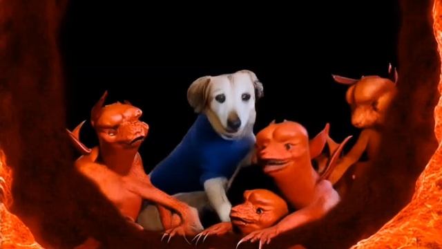 Собака с яблоком